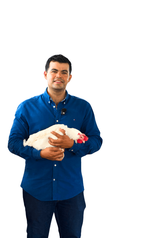 José con gallina